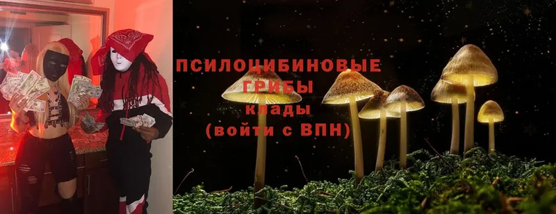 Псилоцибиновые грибы Magic Shrooms  Новосибирск 